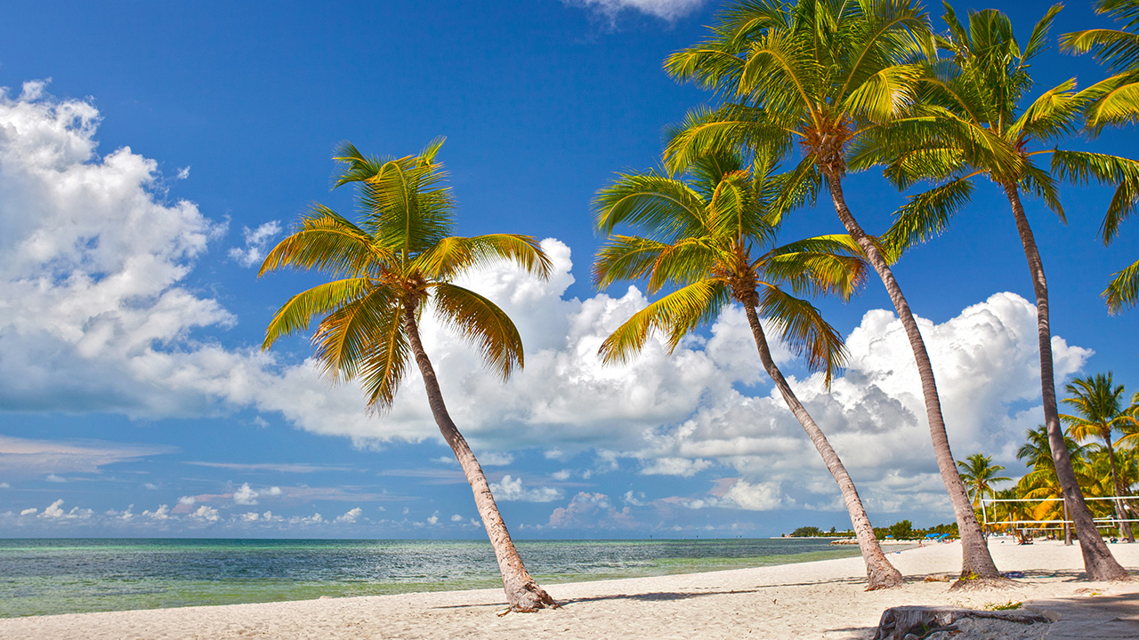 Key West Beach with a white sand beach and tall palm trees