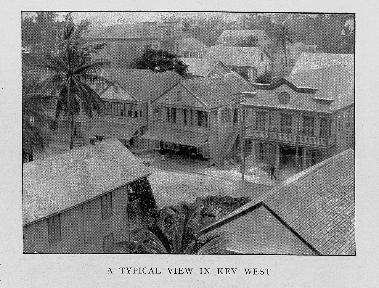 Houses in Key West, Florida, 1890s. 19th Century American Architecture Illustration
