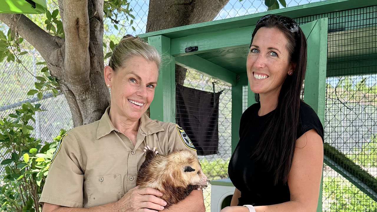 Sheriff's Animal Farm - Stock Island, Florida